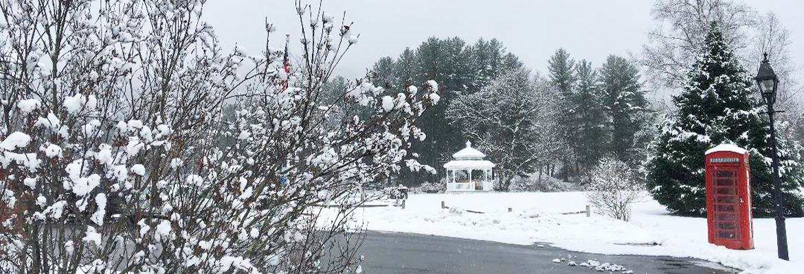 Town Common in Winter